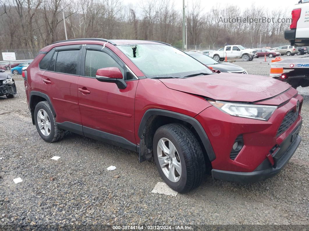 2019 Toyota Rav4 Xle Красный vin: JTMP1RFV2KD037291