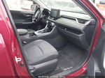 2019 Toyota Rav4 Xle Красный vin: JTMP1RFV2KD037291