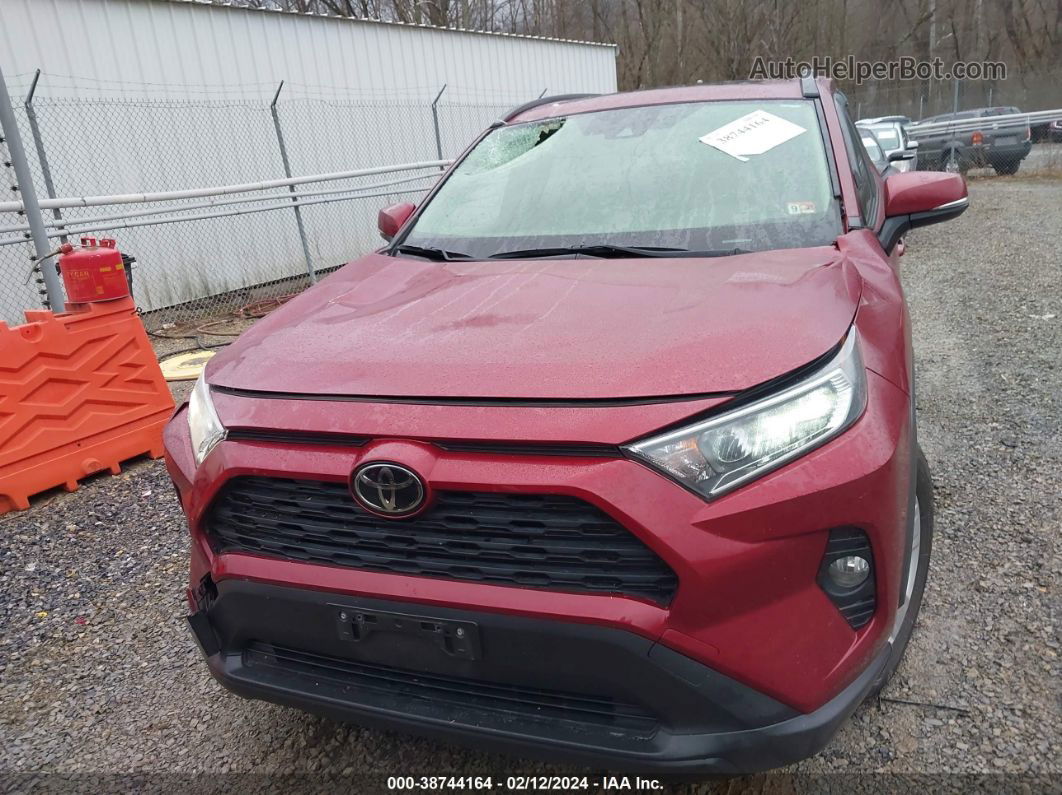 2019 Toyota Rav4 Xle Red vin: JTMP1RFV2KD037291