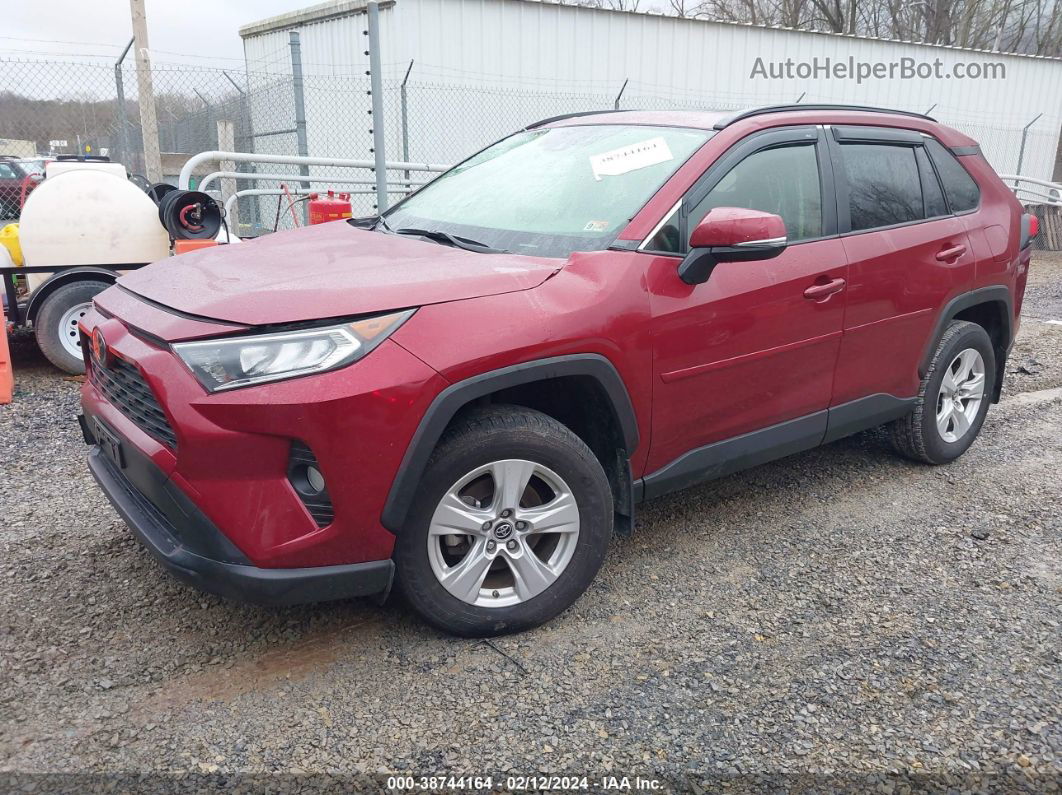 2019 Toyota Rav4 Xle Красный vin: JTMP1RFV2KD037291