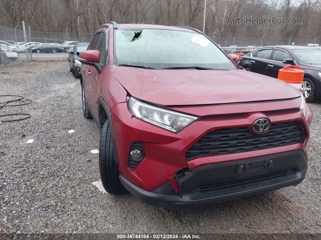 2019 Toyota Rav4 Xle Красный vin: JTMP1RFV2KD037291