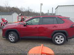 2019 Toyota Rav4 Xle Red vin: JTMP1RFV2KD037291