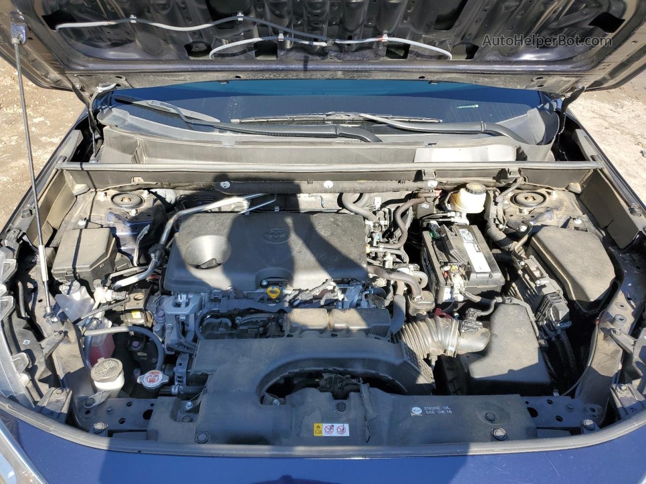 2019 Toyota Rav4 Xle Blue vin: JTMP1RFV2KD522398
