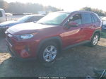 2019 Toyota Rav4 Xle Red vin: JTMP1RFV4KD013350