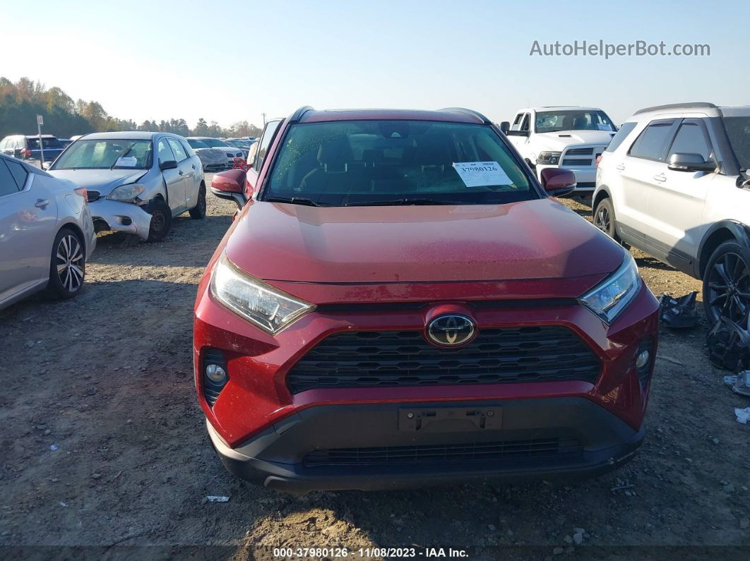 2019 Toyota Rav4 Xle Red vin: JTMP1RFV4KD013350