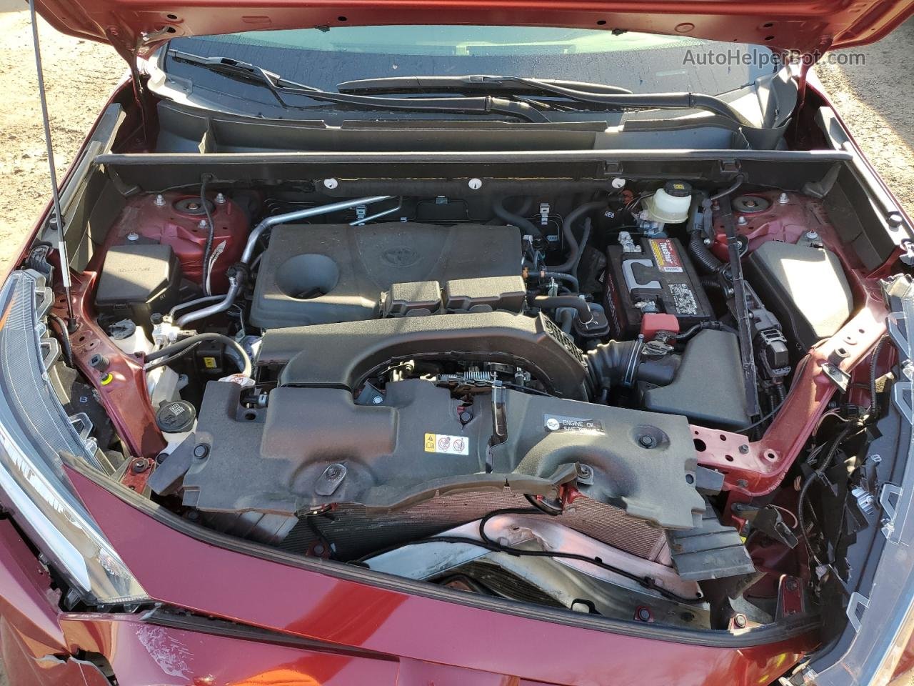 2019 Toyota Rav4 Xle Red vin: JTMP1RFV6KD042025