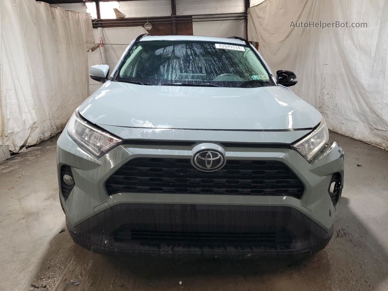 2019 Toyota Rav4 Xle Green vin: JTMP1RFV9KD032296