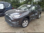 2019 Toyota Rav4 Xle Gray vin: JTMP1RFV9KJ003348