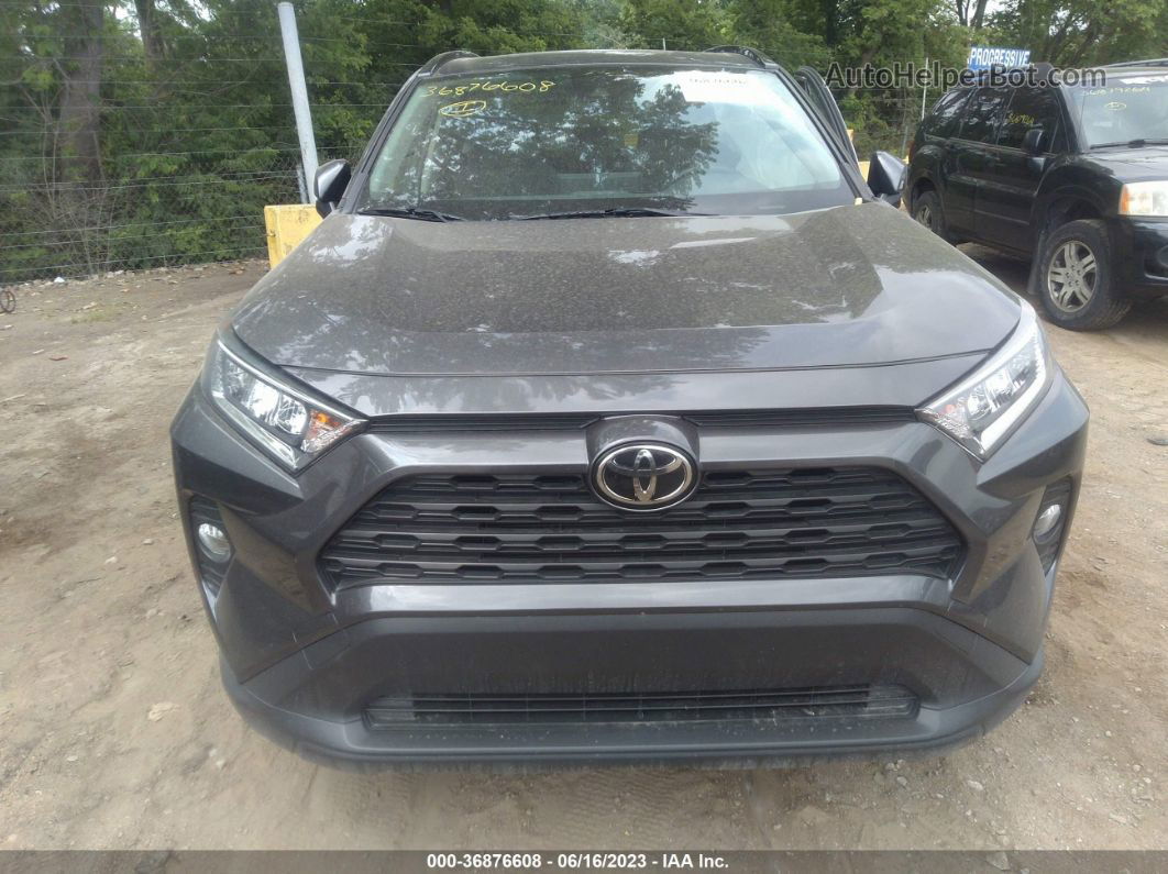 2019 Toyota Rav4 Xle Gray vin: JTMP1RFV9KJ003348