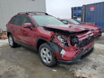 2021 Toyota Rav4 Xle Red vin: JTMP1RFV9MD531571