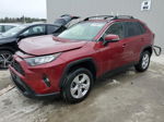 2021 Toyota Rav4 Xle Red vin: JTMP1RFV9MD531571