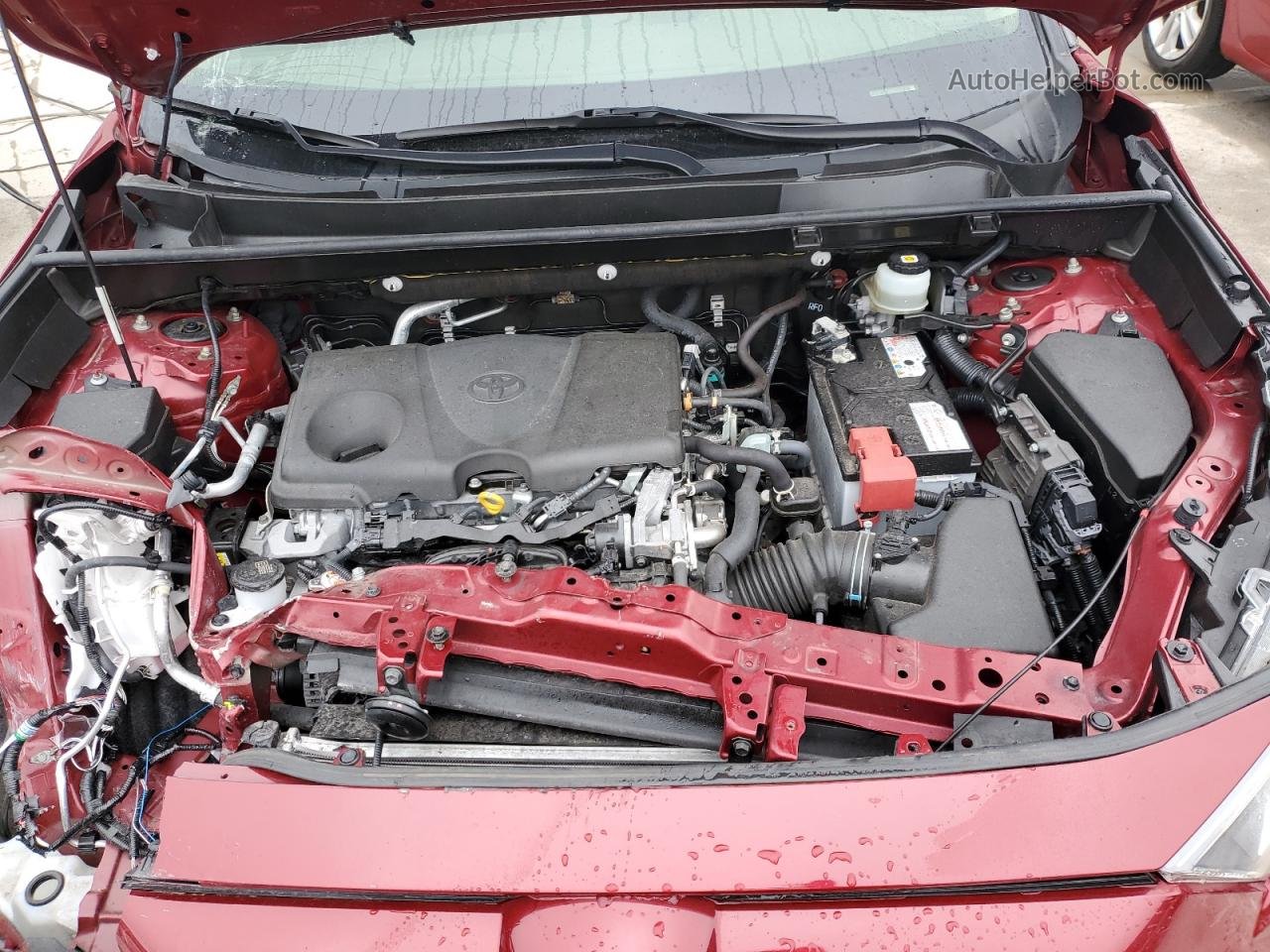 2021 Toyota Rav4 Xle Red vin: JTMP1RFV9MD531571