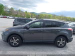 2016 Toyota Rav4 Xle Gray vin: JTMRFREV7GJ080240