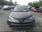 2017 Toyota Rav4 Hybrid Xle/le Plus Gray vin: JTMRJREV0HD077520