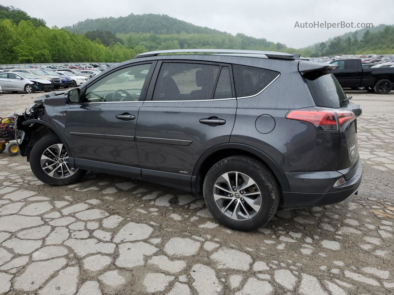 2017 Toyota Rav4 Hv Le Gray vin: JTMRJREV1HD126157