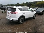 2017 Toyota Rav4 Hybrid Xle/le Plus White vin: JTMRJREV5HD074807