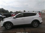 2017 Toyota Rav4 Hybrid Xle/le Plus White vin: JTMRJREV5HD074807