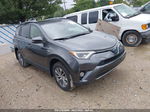 2017 Toyota Rav4 Hybrid Xle/le Plus Gray vin: JTMRJREV5HD088156