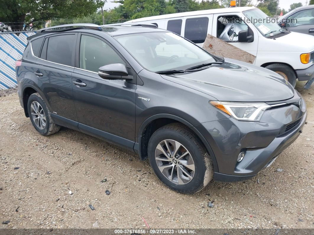 2017 Toyota Rav4 Hybrid Xle/le Plus Gray vin: JTMRJREV5HD088156