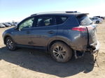 2016 Toyota Rav4 Hv Xle Charcoal vin: JTMRJREV9GD012177