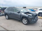 2019 Toyota Rav4 Xle Gray vin: JTMW1RFV0KD511248