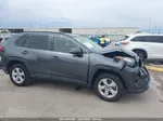 2019 Toyota Rav4 Xle Gray vin: JTMW1RFV0KD511248