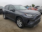 2019 Toyota Rav4 Xle Gray vin: JTMW1RFV3KJ012395