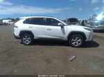 2021 Toyota Rav4 Xle White vin: JTMW1RFV3MD079452