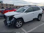 2019 Toyota Rav4 Xle White vin: JTMW1RFV4KD008757