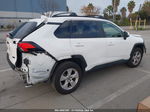 2019 Toyota Rav4 Xle White vin: JTMW1RFV4KD008757