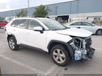 2019 Toyota Rav4 Xle White vin: JTMW1RFV4KD008757