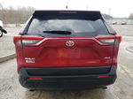 2019 Toyota Rav4 Xle Brown vin: JTMW1RFV5KD012140