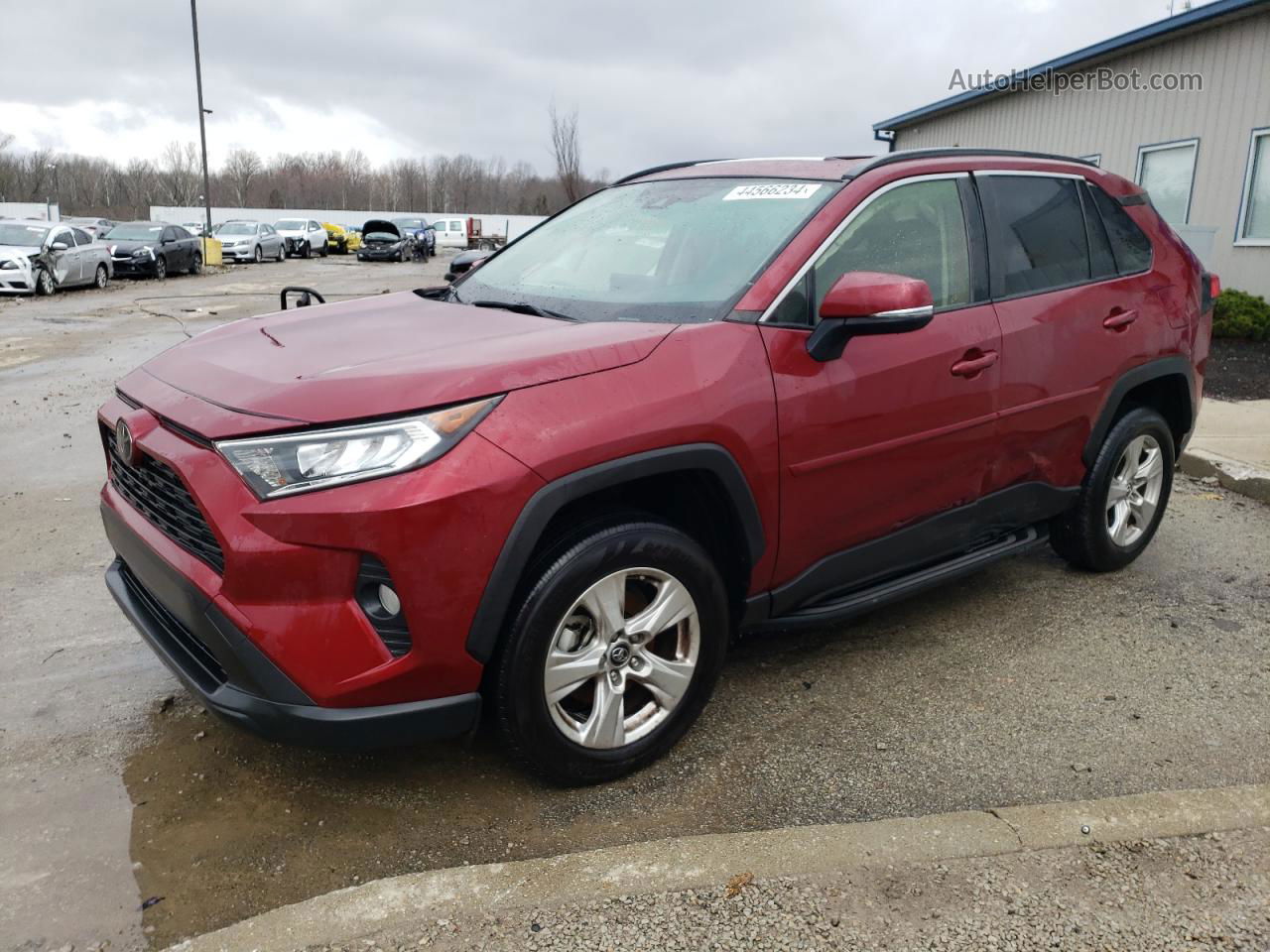 2019 Toyota Rav4 Xle Brown vin: JTMW1RFV5KD012140