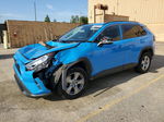 2019 Toyota Rav4 Xle Синий vin: JTMW1RFV5KD013434