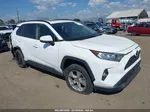 2019 Toyota Rav4 Xle White vin: JTMW1RFV5KD030167