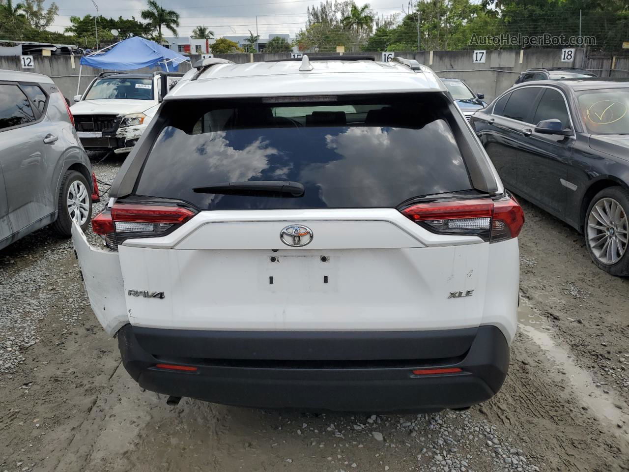 2019 Toyota Rav4 Xle White vin: JTMW1RFV8KD017008