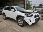 2019 Toyota Rav4 Xle White vin: JTMW1RFV8KJ014711