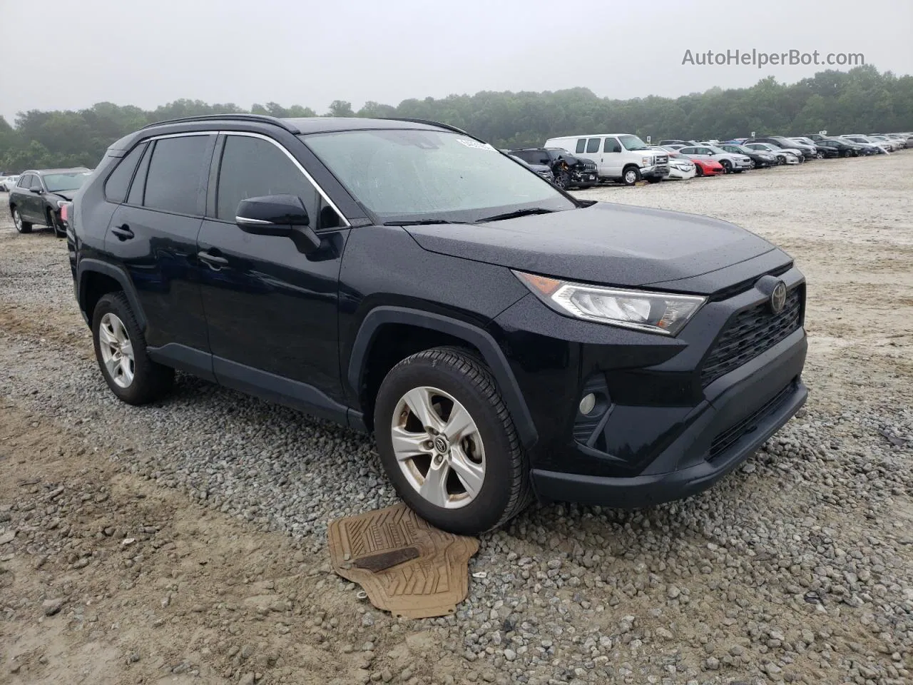 2019 Toyota Rav4 Xle Black vin: JTMW1RFV9KD035193