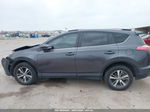 2016 Toyota Rav4 Xle Серый vin: JTMWFREV0GJ085752