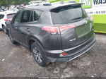 2016 Toyota Rav4 Xle Gray vin: JTMWFREV5GJ064489