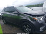 2016 Toyota Rav4 Xle Gray vin: JTMWFREV5GJ064489