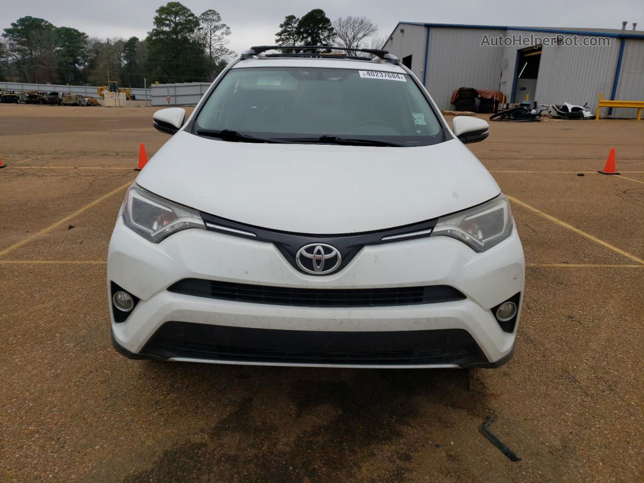 2016 Toyota Rav4 Xle White vin: JTMWFREV9GJ095874