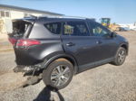 2016 Toyota Rav4 Xle Gray vin: JTMWFREVXGJ095138