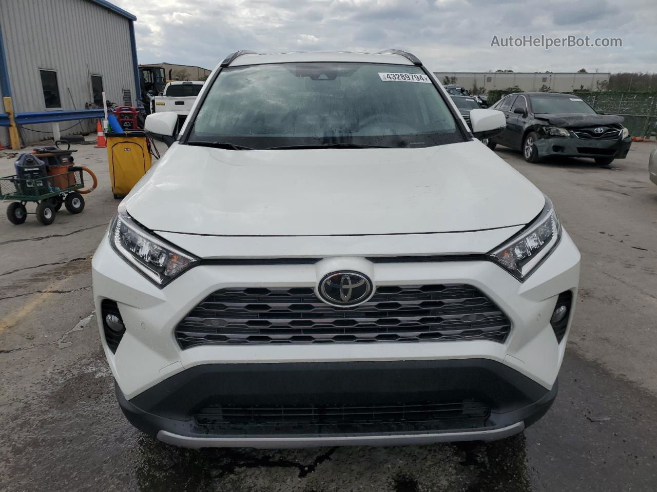 2019 Toyota Rav4 Limited White vin: JTMY1RFV1KD509288