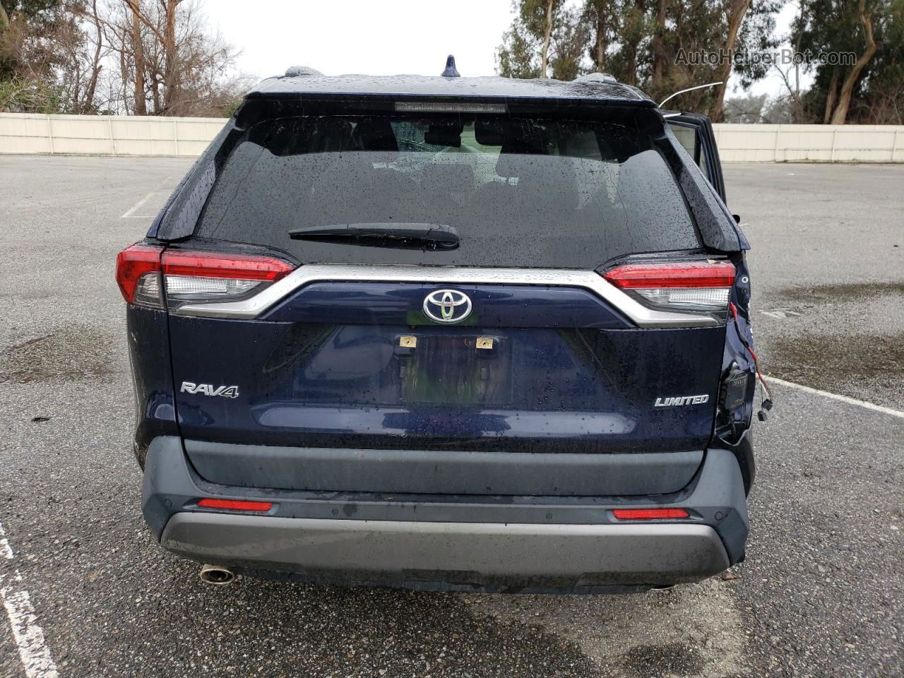 2019 Toyota Rav4 Limited Blue vin: JTMY1RFV8KD516125