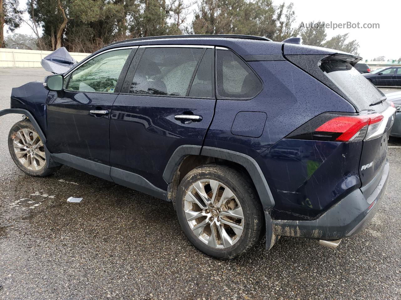 2019 Toyota Rav4 Limited Blue vin: JTMY1RFV8KD516125