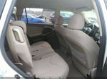 2007 Toyota Rav4 Limited Белый vin: JTMZD31V375044823