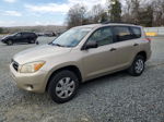 2007 Toyota Rav4  Золотой vin: JTMZD33V375068150