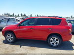 2007 Toyota Rav4   Красный vin: JTMZD33V875036763