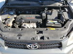 2007 Toyota Rav4  Серый vin: JTMZD33V875060707